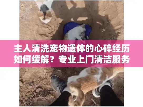 主人清洗宠物遗体的心碎经历如何缓解？专业上门清洁服务真实解析