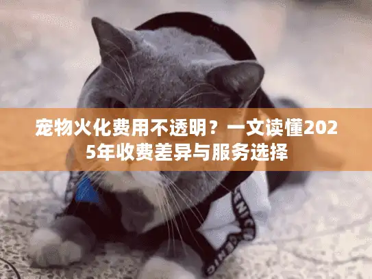 宠物火化费用不透明？一文读懂2025年收费差异与服务选择
