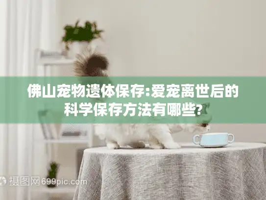 佛山宠物遗体保存:爱宠离世后的科学保存方法有哪些?