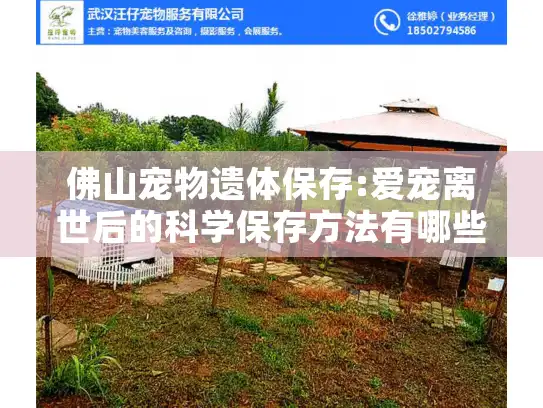 佛山宠物遗体保存:爱宠离世后的科学保存方法有哪些?