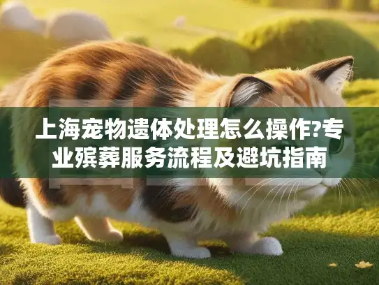 上海宠物遗体处理怎么操作?专业殡葬服务流程及避坑指南