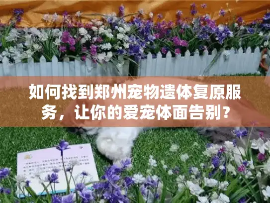 如何找到郑州宠物遗体复原服务，让你的爱宠体面告别？
