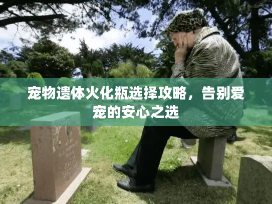宠物遗体火化瓶选择攻略，告别爱宠的安心之选