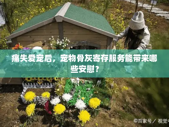 痛失爱宠后，宠物骨灰寄存服务能带来哪些安慰？