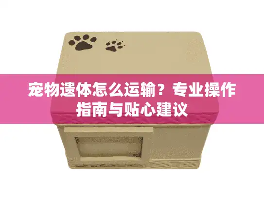 宠物遗体怎么运输？专业操作指南与贴心建议