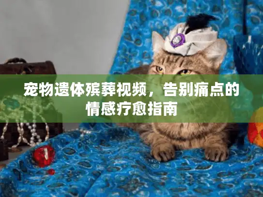 宠物遗体殡葬视频，告别痛点的情感疗愈指南