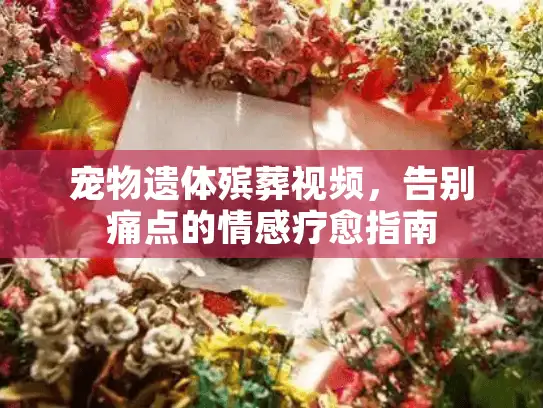 宠物遗体殡葬视频，告别痛点的情感疗愈指南