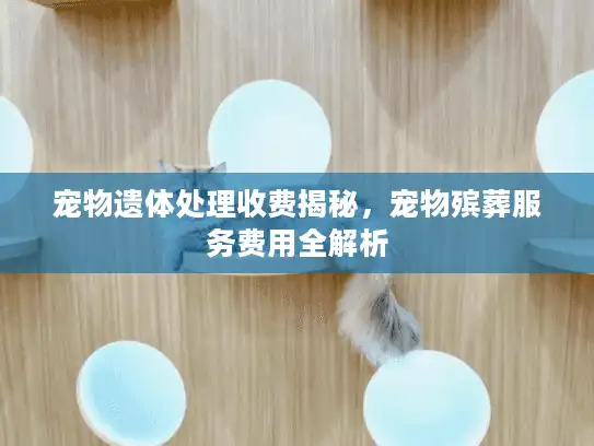 宠物遗体处理收费揭秘，宠物殡葬服务费用全解析