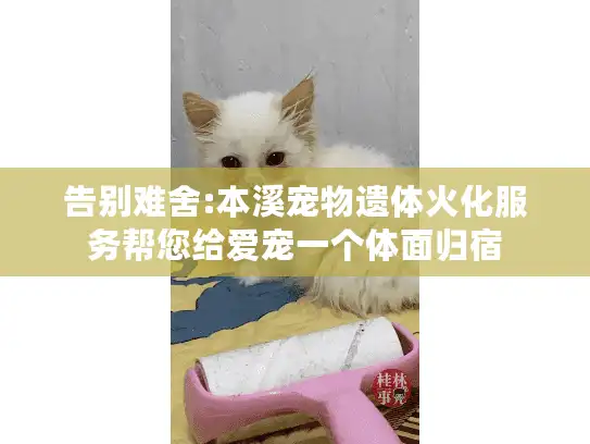 告别难舍:本溪宠物遗体火化服务帮您给爱宠一个体面归宿
