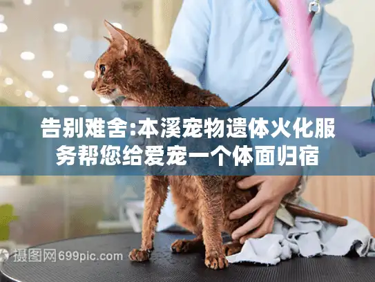 告别难舍:本溪宠物遗体火化服务帮您给爱宠一个体面归宿