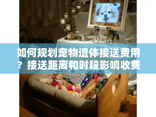 如何规划宠物遗体接送费用？接送距离和时段影响收费的真相