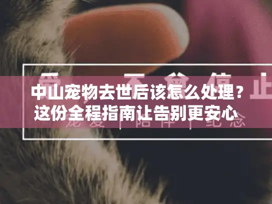 中山宠物去世后该怎么处理？这份全程指南让告别更安心