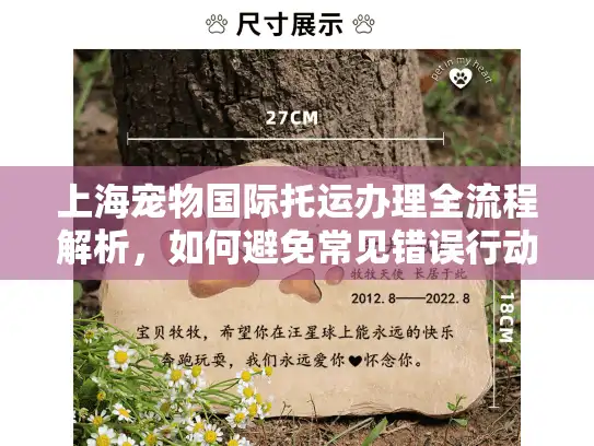 上海宠物国际托运办理全流程解析，如何避免常见错误行动指南