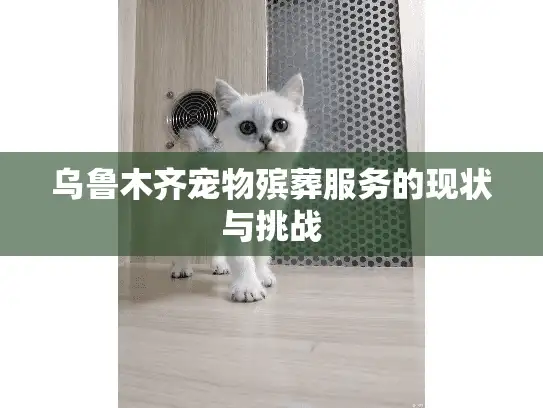 乌鲁木齐宠物殡葬服务的现状与挑战