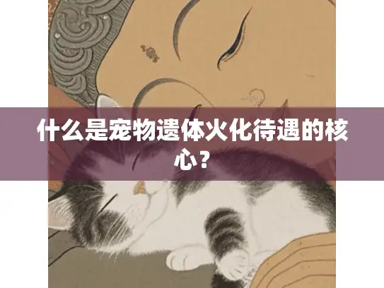 什么是宠物遗体火化待遇的核心？