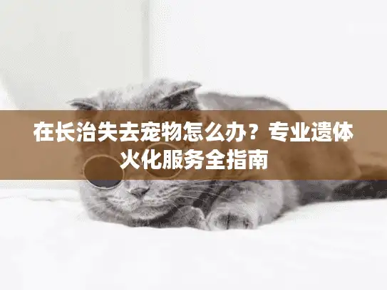 在长治失去宠物怎么办？专业遗体火化服务全指南