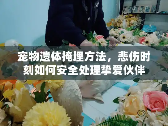 宠物遗体掩埋方法，悲伤时刻如何安全处理挚爱伙伴