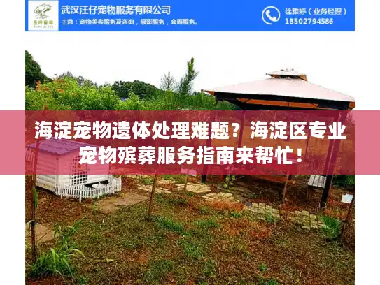 海淀宠物遗体处理难题？海淀区专业宠物殡葬服务指南来帮忙！