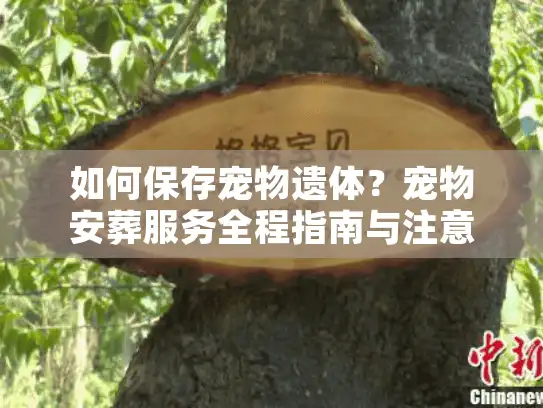 如何保存宠物遗体？宠物安葬服务全程指南与注意事项