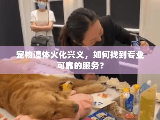宠物遗体火化兴义，如何找到专业可靠的服务？