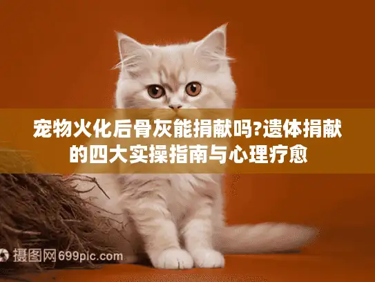 宠物火化后骨灰能捐献吗?遗体捐献的四大实操指南与心理疗愈