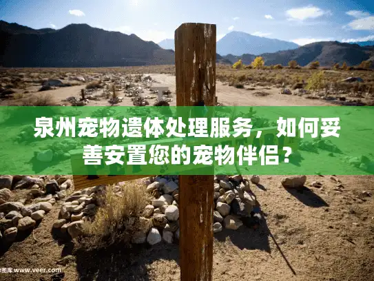 泉州宠物遗体处理服务，如何妥善安置您的宠物伴侣？