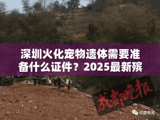 深圳火化宠物遗体需要准备什么证件？2025最新殡葬指南