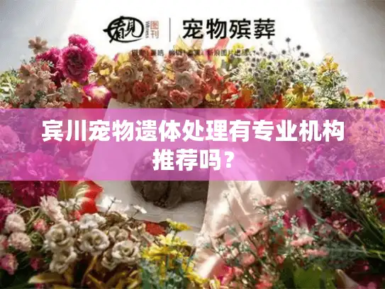 宾川宠物遗体处理有专业机构推荐吗？