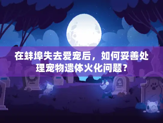 在蚌埠失去爱宠后，如何妥善处理宠物遗体火化问题？