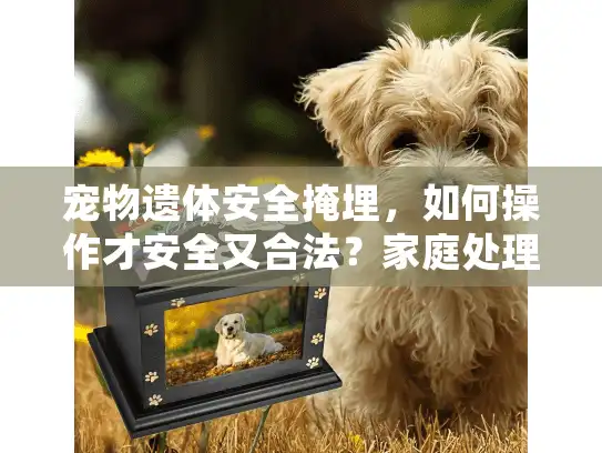 宠物遗体安全掩埋，如何操作才安全又合法？家庭处理需知