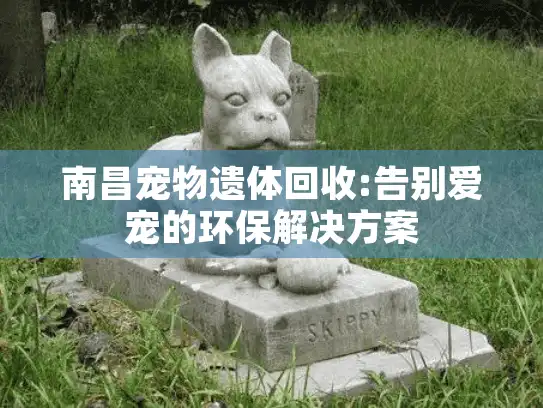南昌宠物遗体回收:告别爱宠的环保解决方案