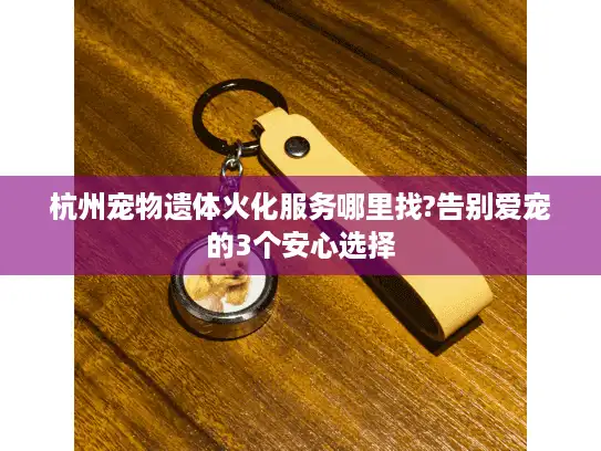 杭州宠物遗体火化服务哪里找?告别爱宠的3个安心选择