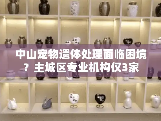中山宠物遗体处理面临困境？主城区专业机构仅3家