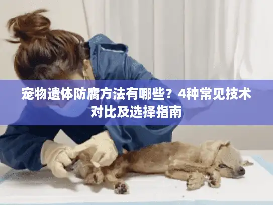 宠物遗体防腐方法有哪些？4种常见技术对比及选择指南