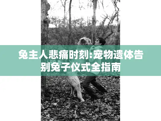 兔主人悲痛时刻:宠物遗体告别兔子仪式全指南