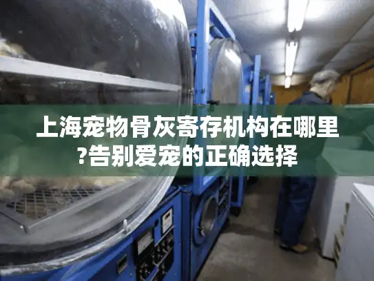 上海宠物骨灰寄存机构在哪里?告别爱宠的正确选择