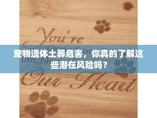 宠物遗体土葬危害，你真的了解这些潜在风险吗？