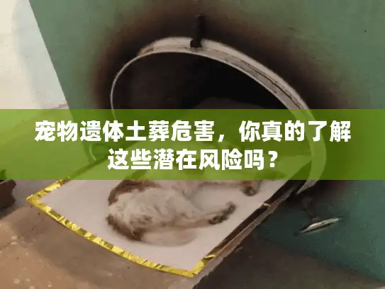 宠物遗体土葬危害，你真的了解这些潜在风险吗？