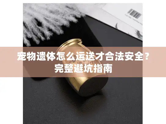 宠物遗体怎么运送才合法安全？完整避坑指南