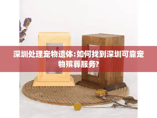深圳处理宠物遗体:如何找到深圳可靠宠物殡葬服务?
