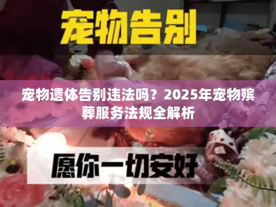 宠物遗体告别违法吗？2025年宠物殡葬服务法规全解析