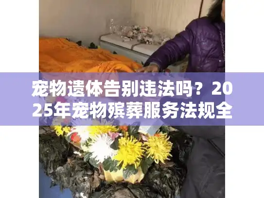 宠物遗体告别违法吗？2025年宠物殡葬服务法规全解析