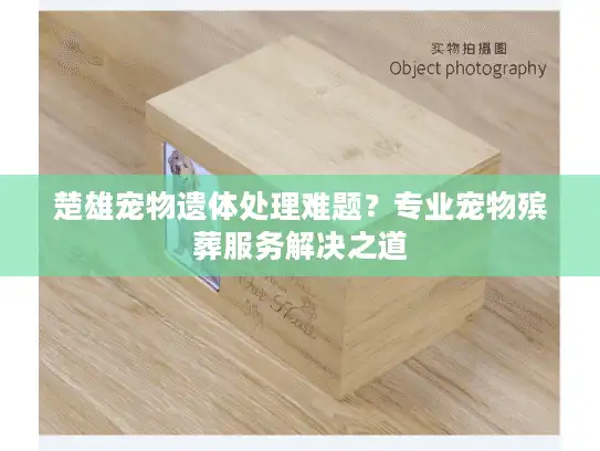 楚雄宠物遗体处理难题？专业宠物殡葬服务解决之道