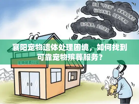 襄阳宠物遗体处理困境，如何找到可靠宠物殡葬服务？