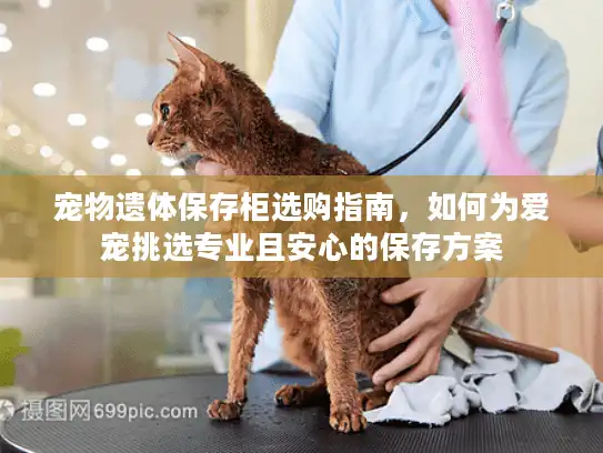 宠物遗体保存柜选购指南，如何为爱宠挑选专业且安心的保存方案