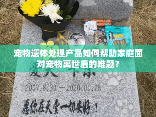 宠物遗体处理产品如何帮助家庭面对宠物离世后的难题？
