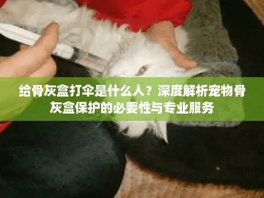 给骨灰盒打伞是什么人？深度解析宠物骨灰盒保护的必要性与专业服务