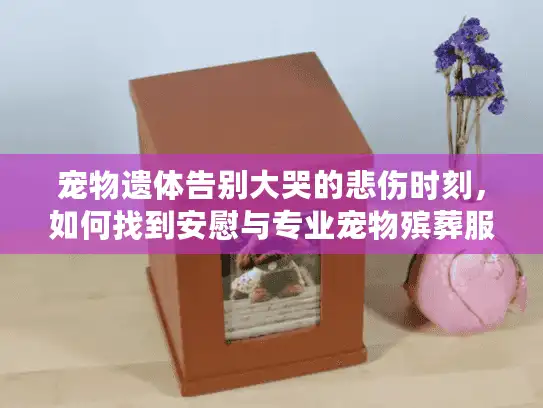 宠物遗体告别大哭的悲伤时刻，如何找到安慰与专业宠物殡葬服务指南