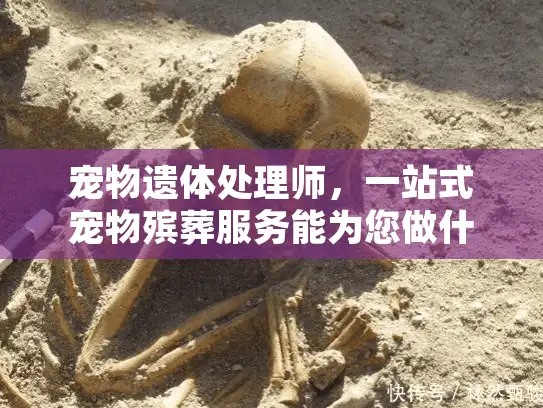 宠物遗体处理师，一站式宠物殡葬服务能为您做什么?