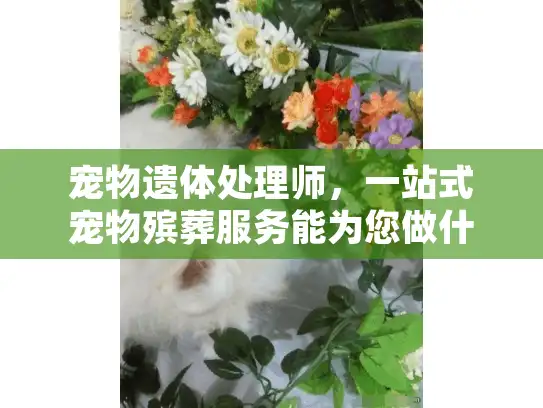 宠物遗体处理师，一站式宠物殡葬服务能为您做什么?